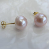 Cultured Pink Pearl Gold Stud Earrings gold