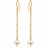 Freshwater Pearl Long Chain Drop Gold Earrings