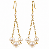 Freshwater Pearl Multi Pearl Drop Gold Earrings