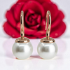 Broome Pearl 9ct Rose Gold French Hook Earrings