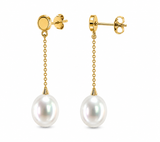 Broome Pearl 10mm Circle 9ct Chain Drop Earrings