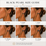 Cultured Black Pearl Stud Earrings gold