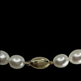 Cultured Broome South Sea Pearl Strand