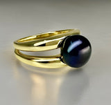 Cultured Freshwater Black Pearl Double Band Ring Gold