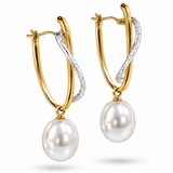 Cultured Broome Pearl Two Tone Gold Hoop Earrings