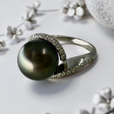 Tahitian Pearl Silver Cubic Harmony Zirconia Ring