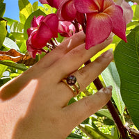 Cultured Freshwater Black Pearl Double Band Ring Gold