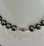 Dark Green Graduated Shell Pearl Strand