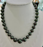 Dark Green Graduated Shell Pearl Strand