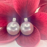 Broome Pearl Diamond Stud Earrings 9ct