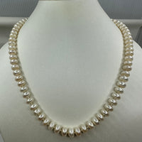 Freshwater Button Pearl Strand with 14ct Clasp