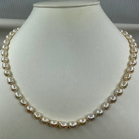 Light Pink Freshwater Strand with 14ct Clasp