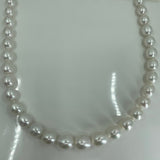 Cultured Broome South Sea Pearl Strand