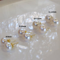 Freshwater Cultured White Pearl Stud Earrings Gold