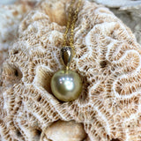 Golden South Sea Pearl 9ct 