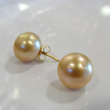 South Sea Pearl Earring Studs golden pearl studs SWE277(b) - Broome Staircase Designs Pearl Gallery - 2