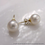 Broome Pearl Earrings 9ct - Broome Staircase Designs Pearl Gallery - 1
