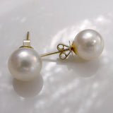 Broome Pearl Earrings Studs 9ct Round - Broome Staircase Designs Pearl Gallery - 1