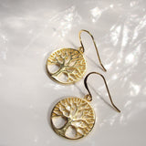 Boab Tree  Earrings - Broome Staircase Designs Pearl Gallery - 2