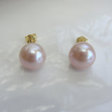 Cultured Pink Pearl Gold Stud Earrings gold