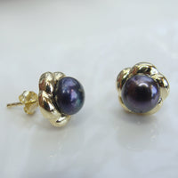 Cultured Freshwater Peacock Black Pearl Studs - Gold >> 50% OFF RIGHT NOW!!