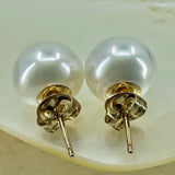 Cultured Broome Pearl 9ct Stud Earrings