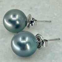 South Sea 18ct White Gold Tahitian Studs