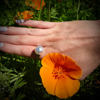 Broome South Sea Pearl Ring
