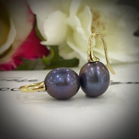 Cultured Freshwater Black Pearl Earrings - Gold