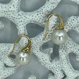 Cultured Broome Pearl 9ct Gold Heavy Hook Earrings