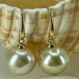 Cultured Broome South Sea Pearl Hook Earrings