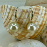 Cultured Broome South Sea Pearl Hook Earrings
