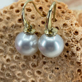 Cultured Broome Pearl 9ct Hook Gold Fitted Earrings