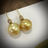 18ct South Sea Golden Pearl Earrings