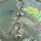 9ct Rose Gold Circle Pearl Hook Earrings