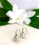 Broome Pearl Earrings Yellow Gold